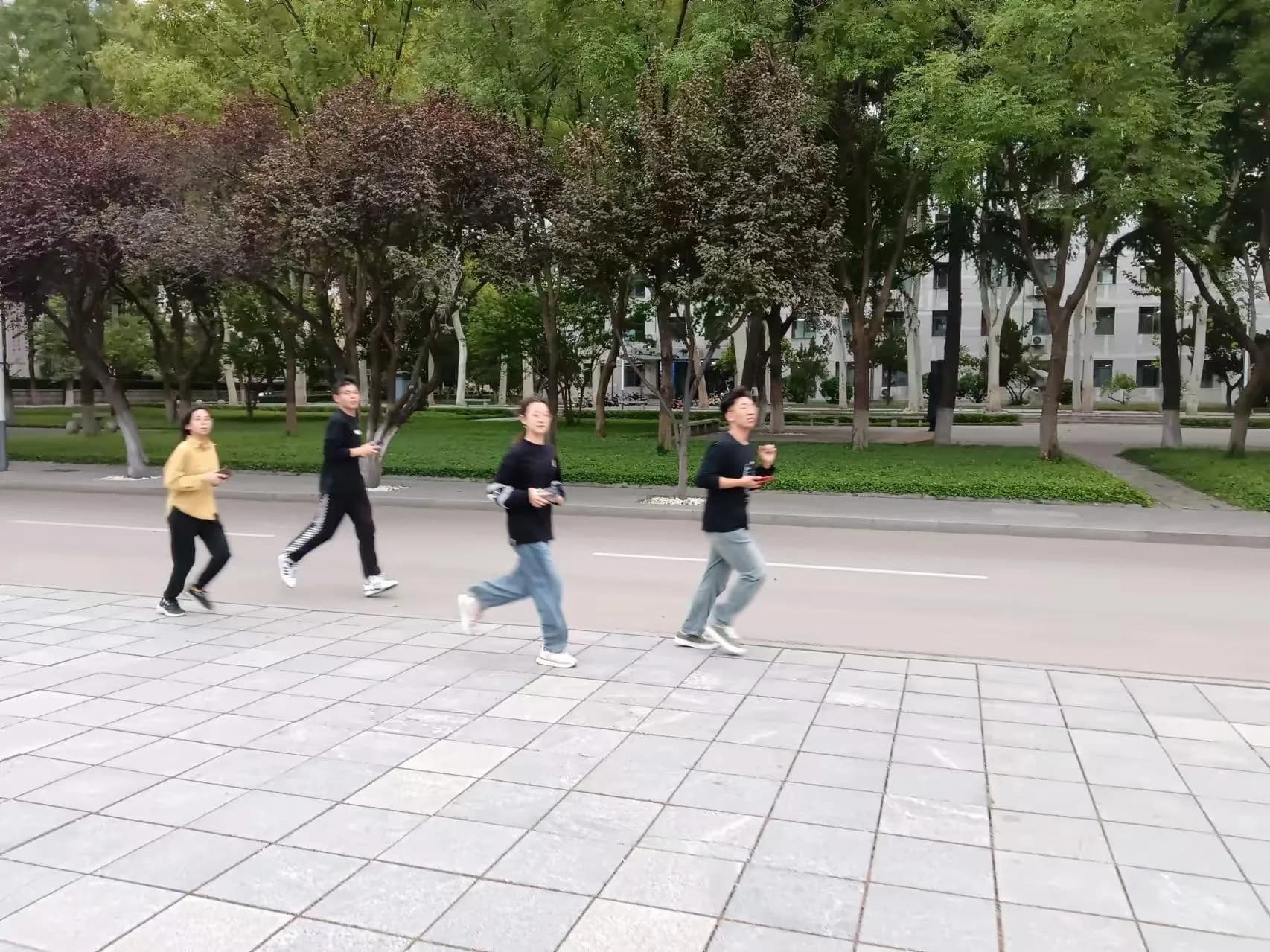 山东大学校园定向赛,参与者沿林荫道路跑动。